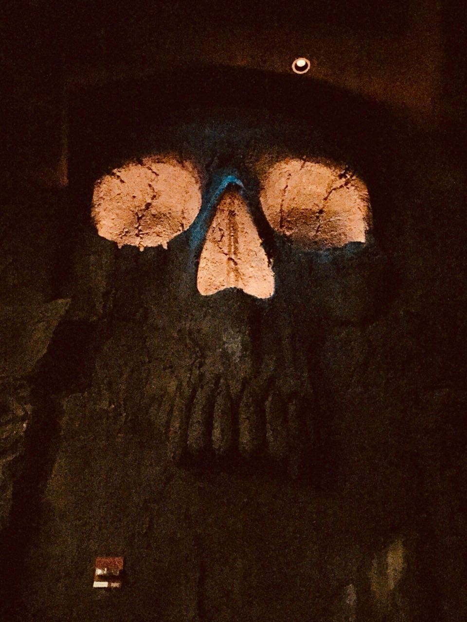 WhatsApp Image 2018 07 26 at 13.51.58 disney-islands-of-adventure