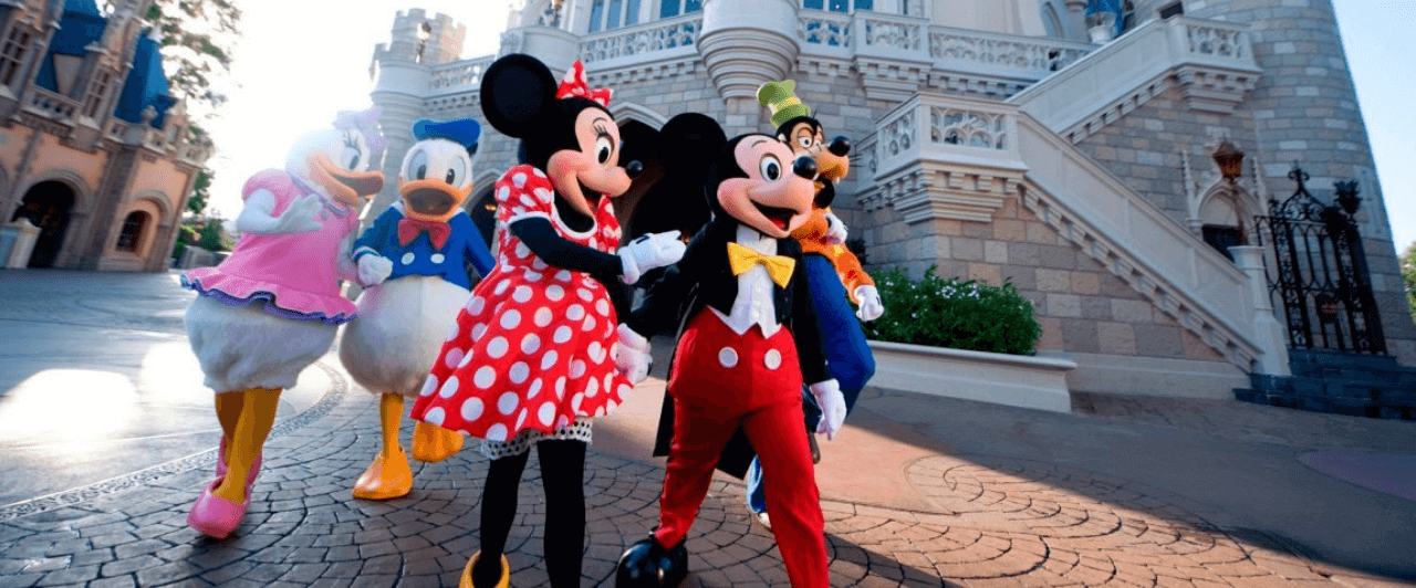 Levou X na Disney? Tem gente feliz! Levou X na Disney? Tem gente feliz!