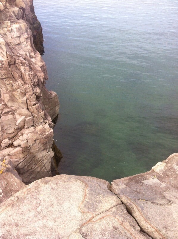 IMG 3783 IMG_3783
