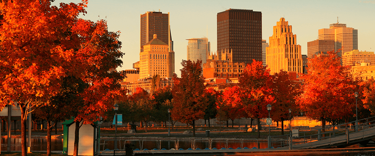 Tudo o que você precisa saber sobre Montreal Tudo o que você precisa saber sobre Montreal