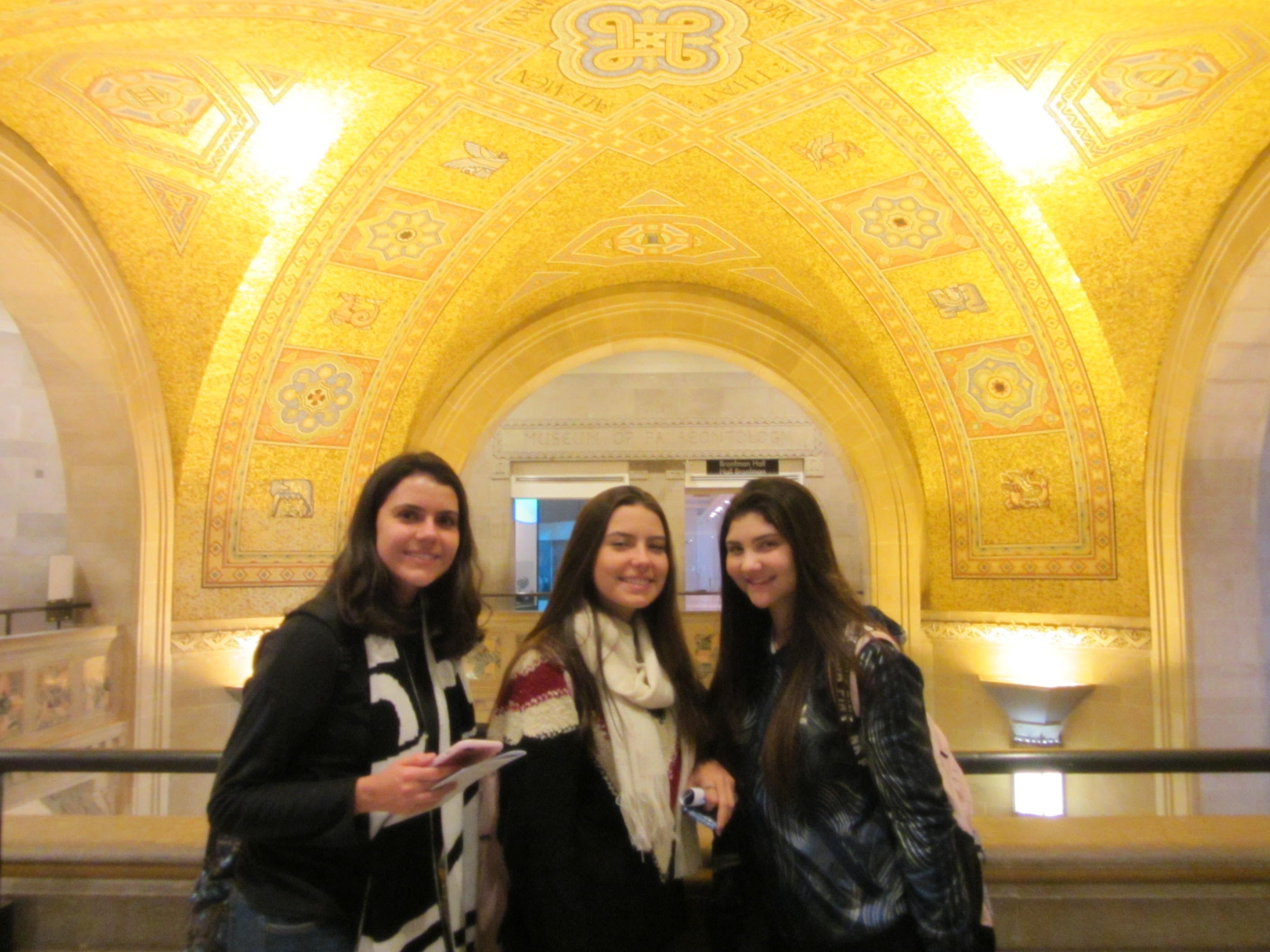 IMG 1654 IMG_1654