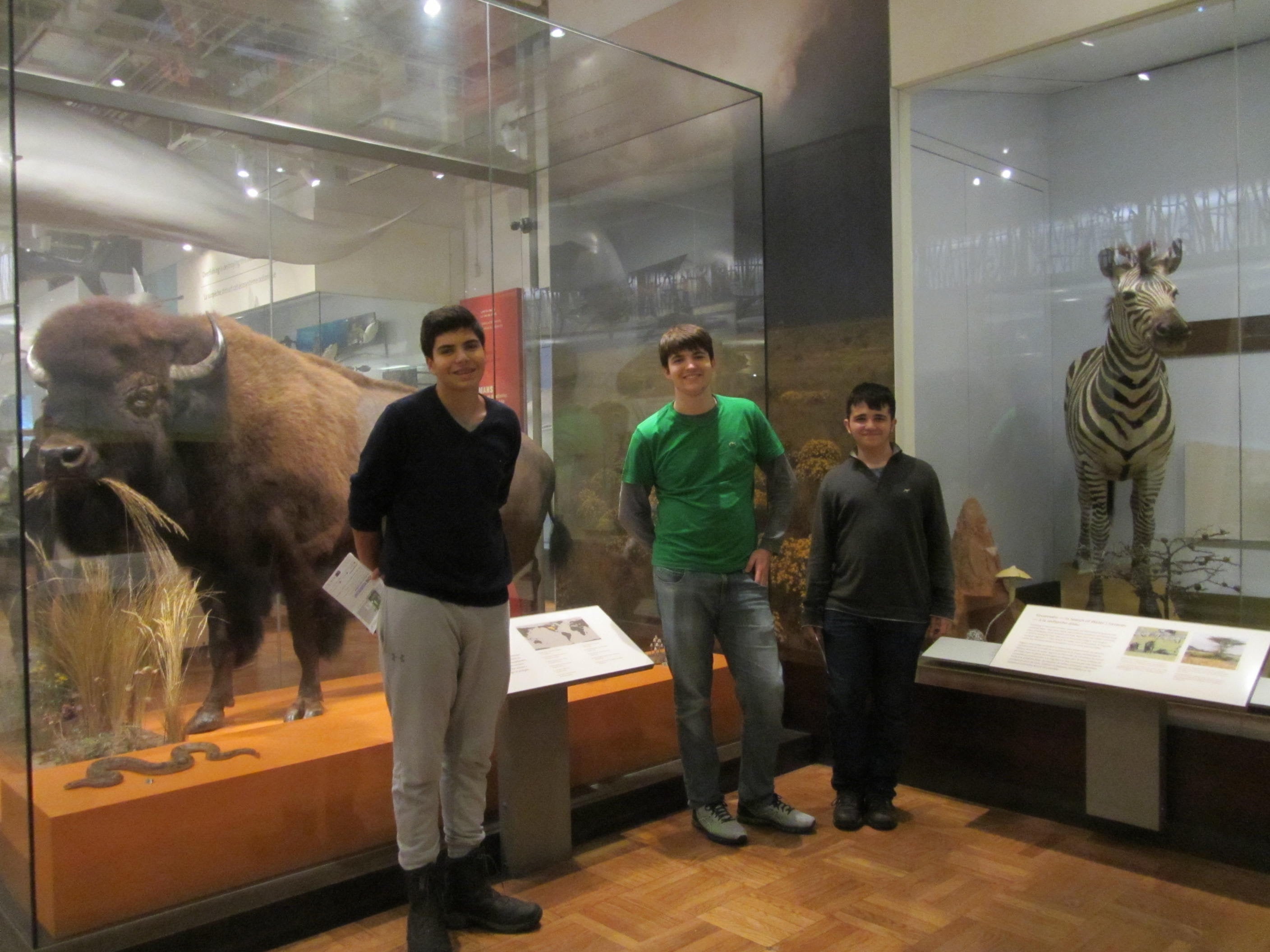 IMG 1658 IMG_1658
