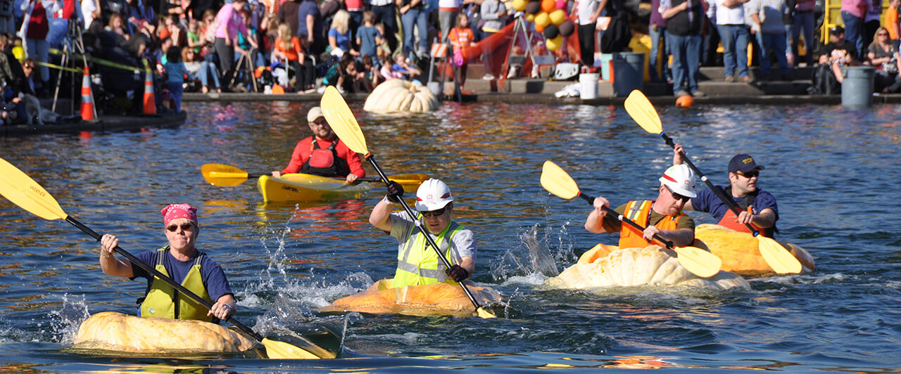 Conheça a regata das abóboras do Canadá Conheça a regata das abóboras do Canadá