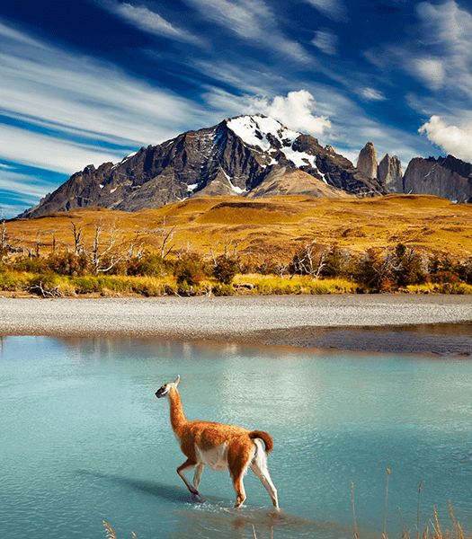 cursos no chile