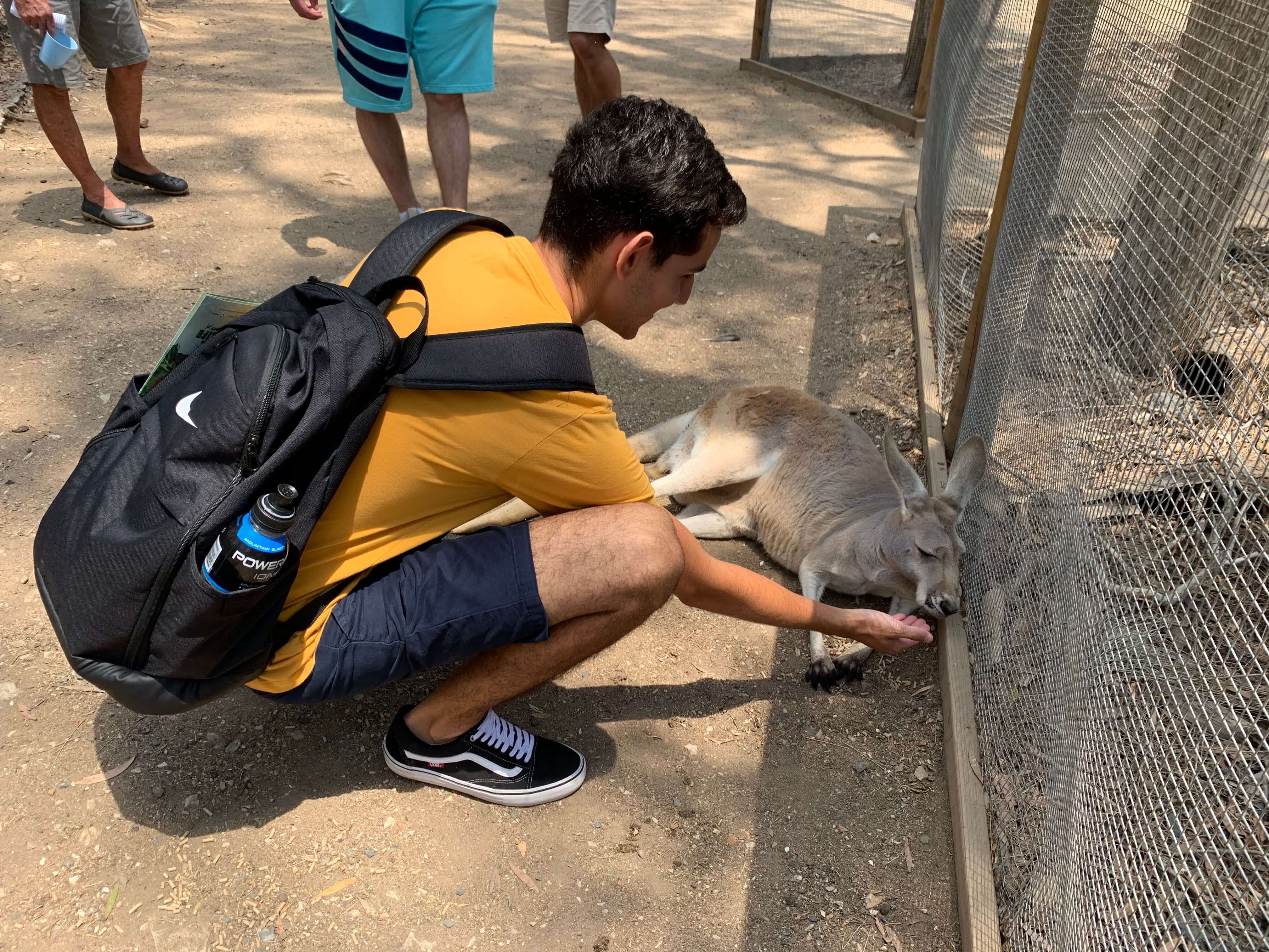 Bruno interagindo com um canguru na Austrália