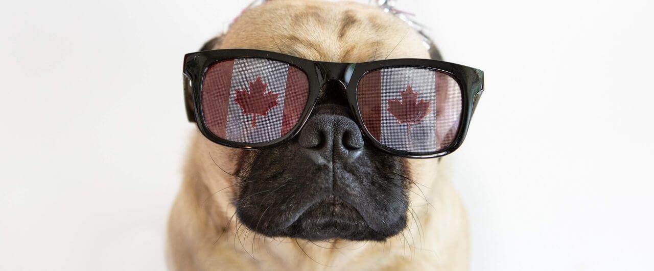 Curiosidades sobre o Canadá que você precisa saber! Curiosidades sobre o Canadá que você precisa saber!