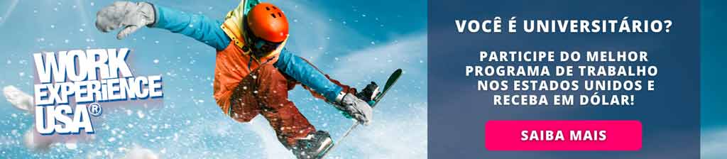 Banner Work Experience USA work-travel-banner