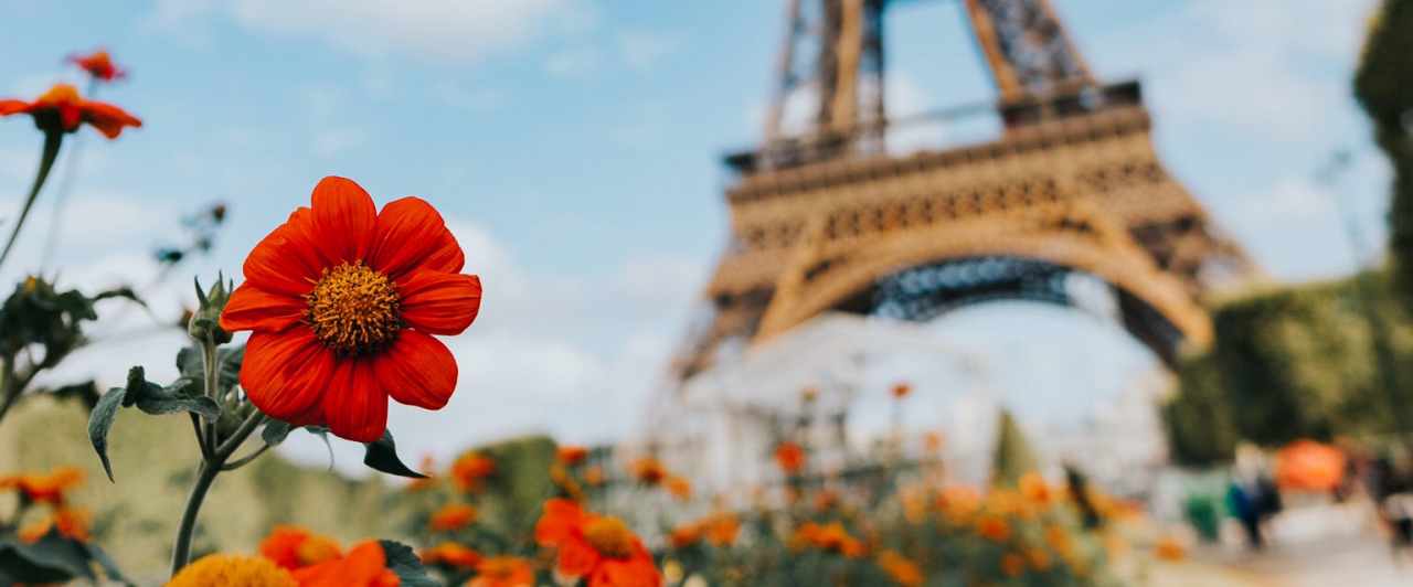 Você pode estudar francês na França! Veja as opções aqui