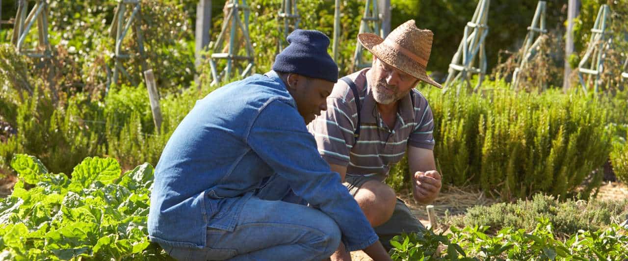 Trabalho voluntário na África do Sul: perguntas e respostas Trabalho voluntário na África do Sul: perguntas e respostas
