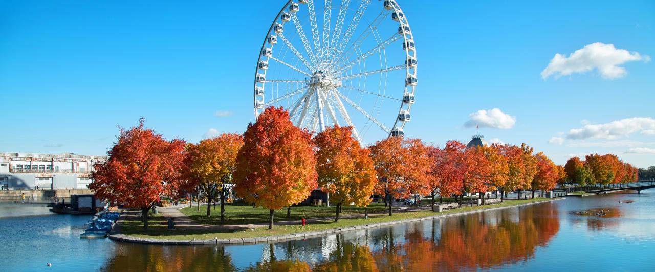 Onde fica Montreal e o que fazer na cidade? Confira! Onde fica Montreal e o que fazer na cidade? Confira!