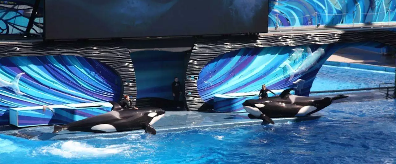 marinha sea world