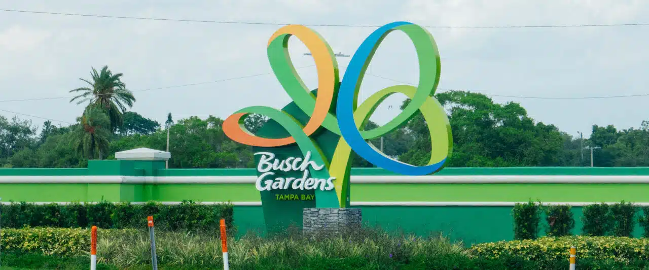 montanhas russas busch gardens