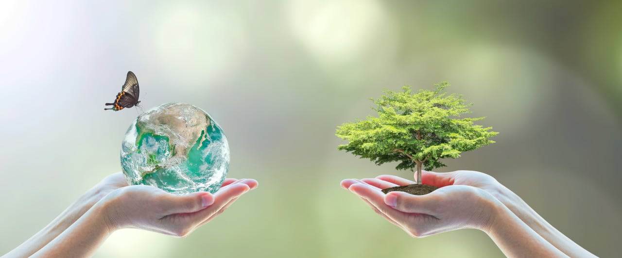 programa voluntariado ambiental