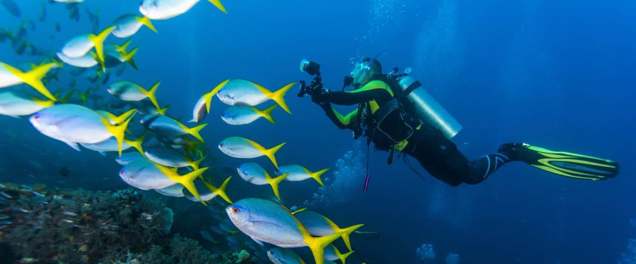 scuba diving