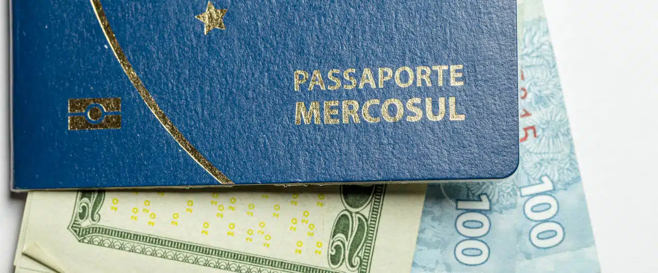 caracteristicas mercosul