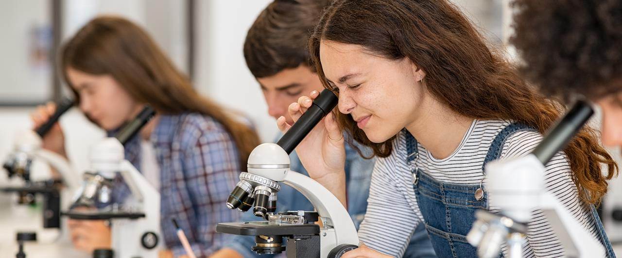 Ross School: conheça esta escola americana de excelência