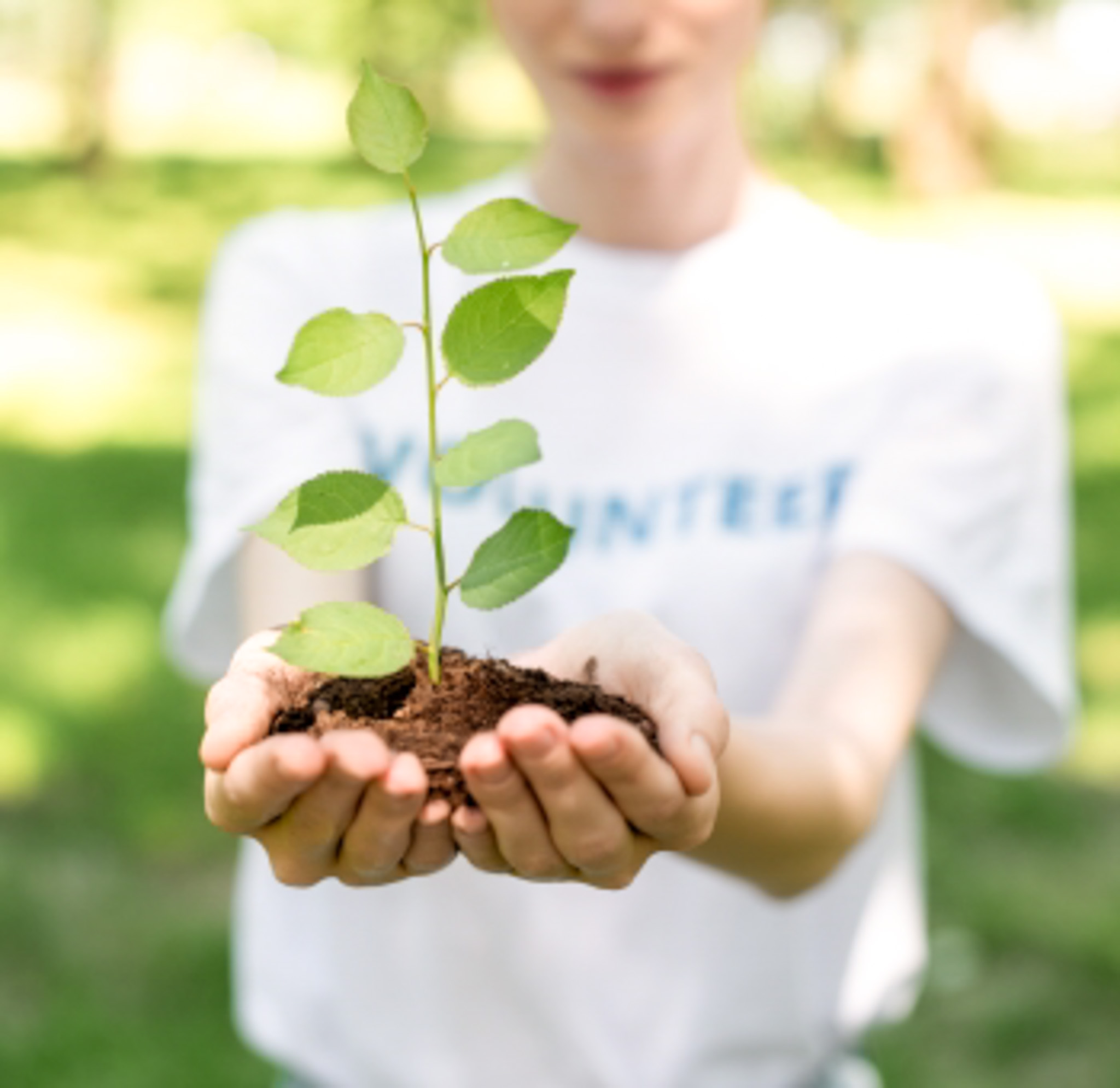 voluntariado ambiental