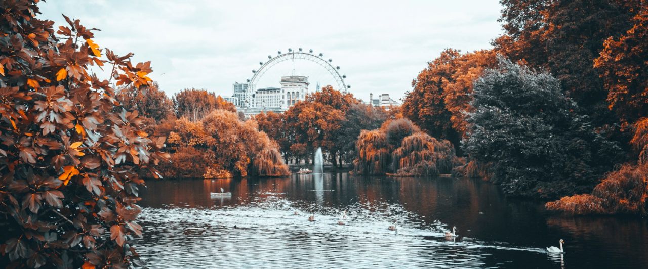 Parques em Londres: 5 lugares encantadores para visitar