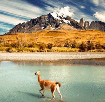 cursos combinados com hobbies no Chile