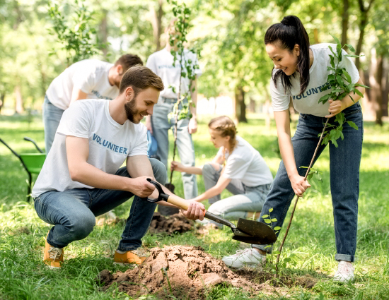 como funciona voluntariado