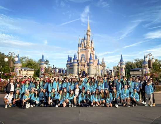 Disney by Intercultural