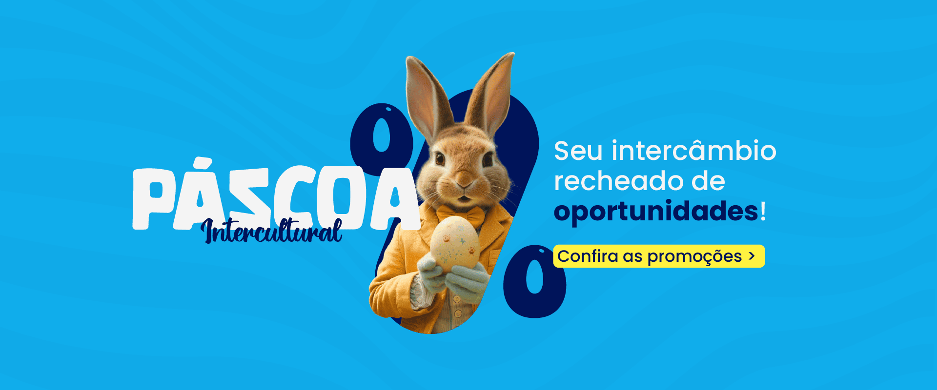 Banner Desktop Prancheta 1 Prancheta 1 copia 1