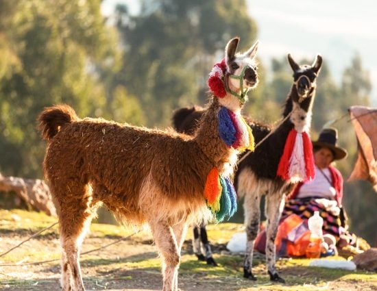 aprender espanhol em Cusco