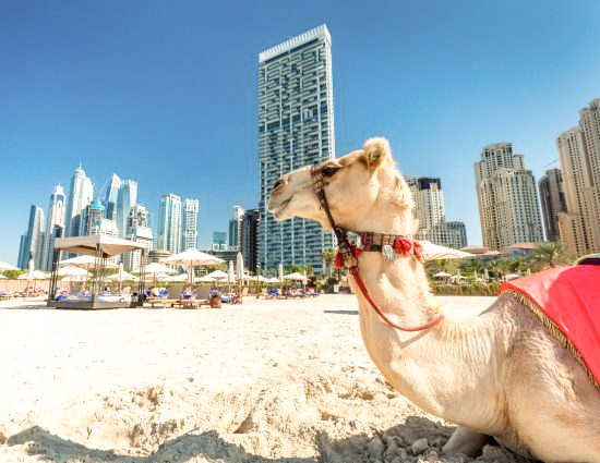Cultura de Dubai