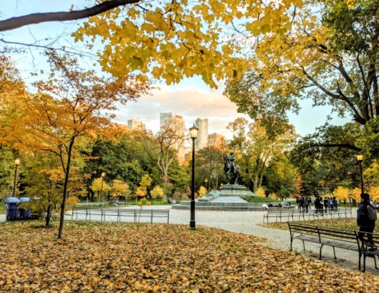 estudar inglês em Toronto