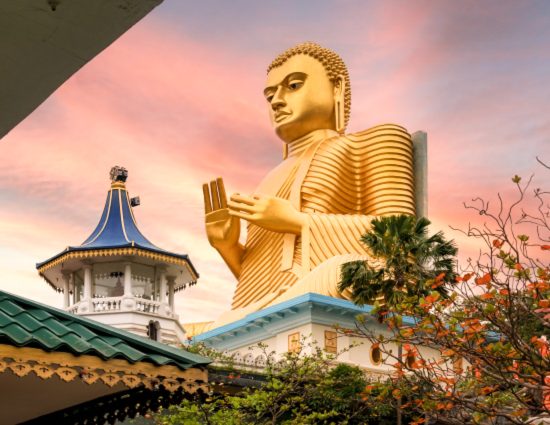 intercâmbio de voluntariado em Sri Lanka