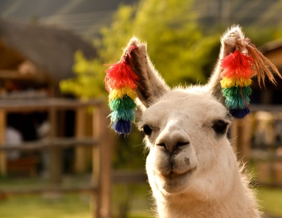 viajar para o Peru